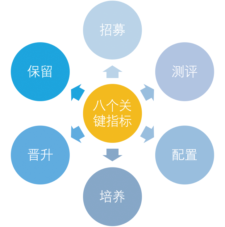 图表1 八个关键指标应用人才发展的主要环节