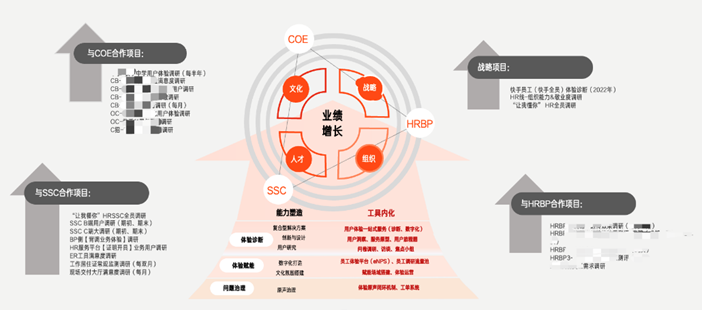 图4 用户体验风车模型