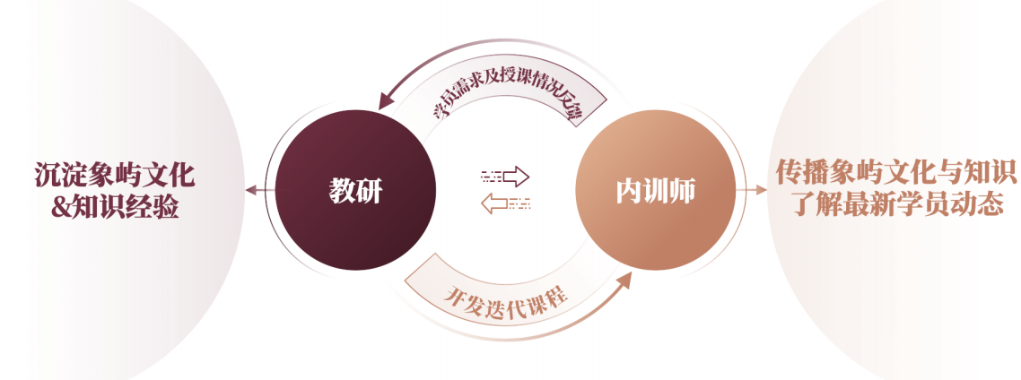  “教研—内训师”双向支撑体系
