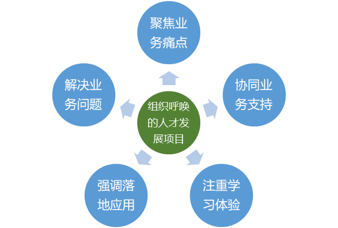 组织呼唤人才发展项目特征