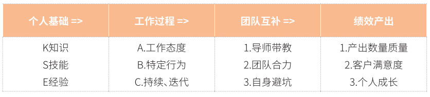 人力资源的绩效模型