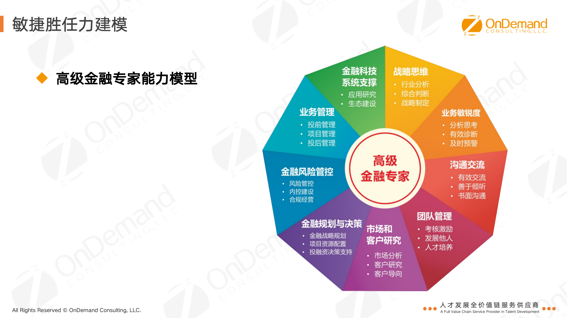 高级金融专家模型