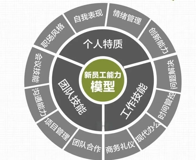 新员工画像示例
