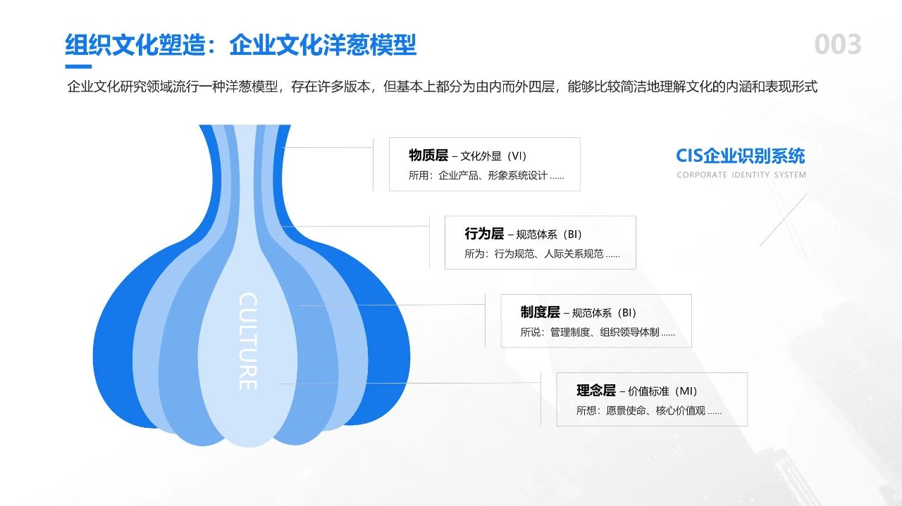 企业文化洋葱模型