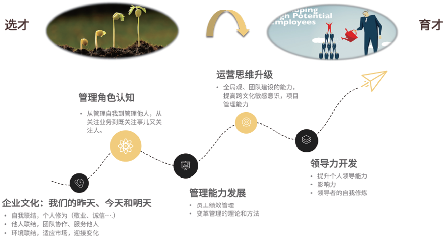 四阶段标准成长地图