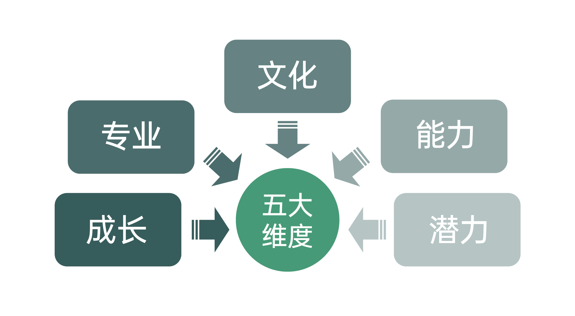 优秀人才发展培育五大维度