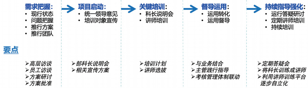内部咨询项目开展计划