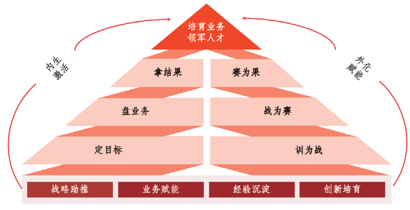 基于虚拟组织的“双螺旋”人才成长体系