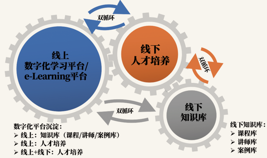 数字化思维模式之人才培养与赋能模型
