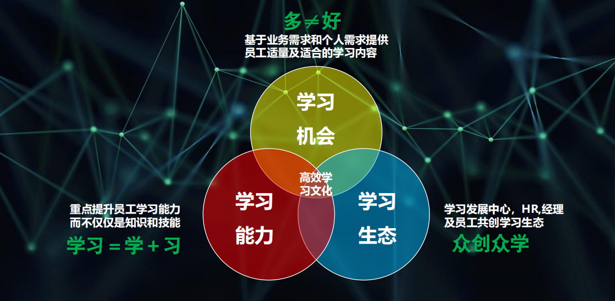 营造高效学习文化