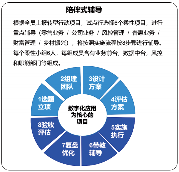 柔性项目陪伴式辅导流程