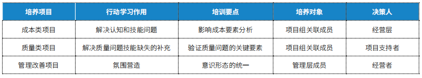 行动学习类项目举例