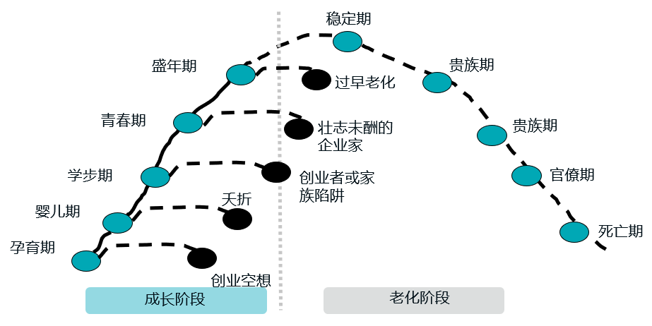 企业发展十大阶段