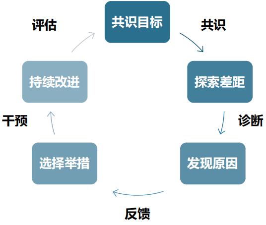 “共识—诊断—反馈—干预—评估”五个步骤 “共识—诊断—反馈—干预—评估”五个步骤