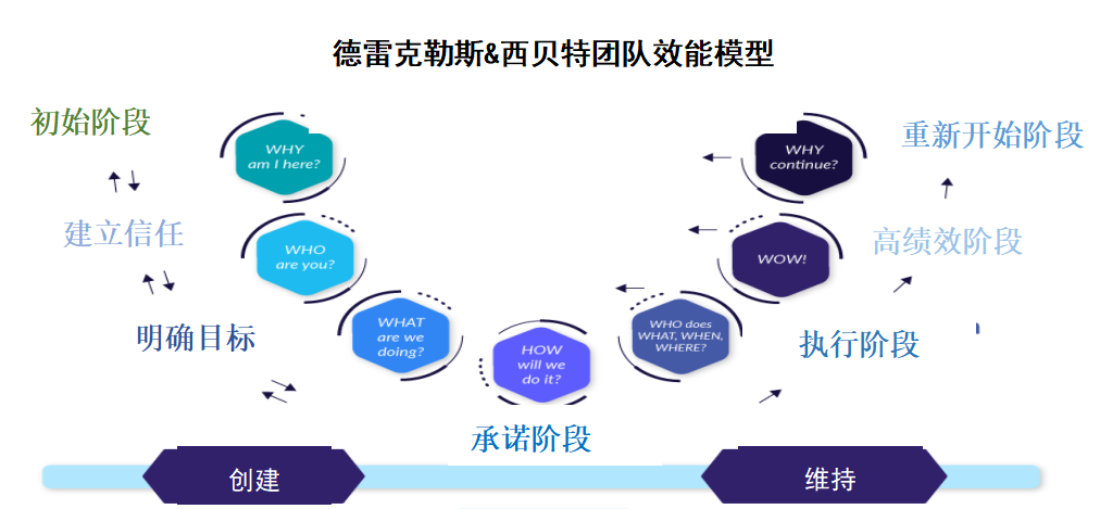 德雷克勒斯&西贝特团队效能模型