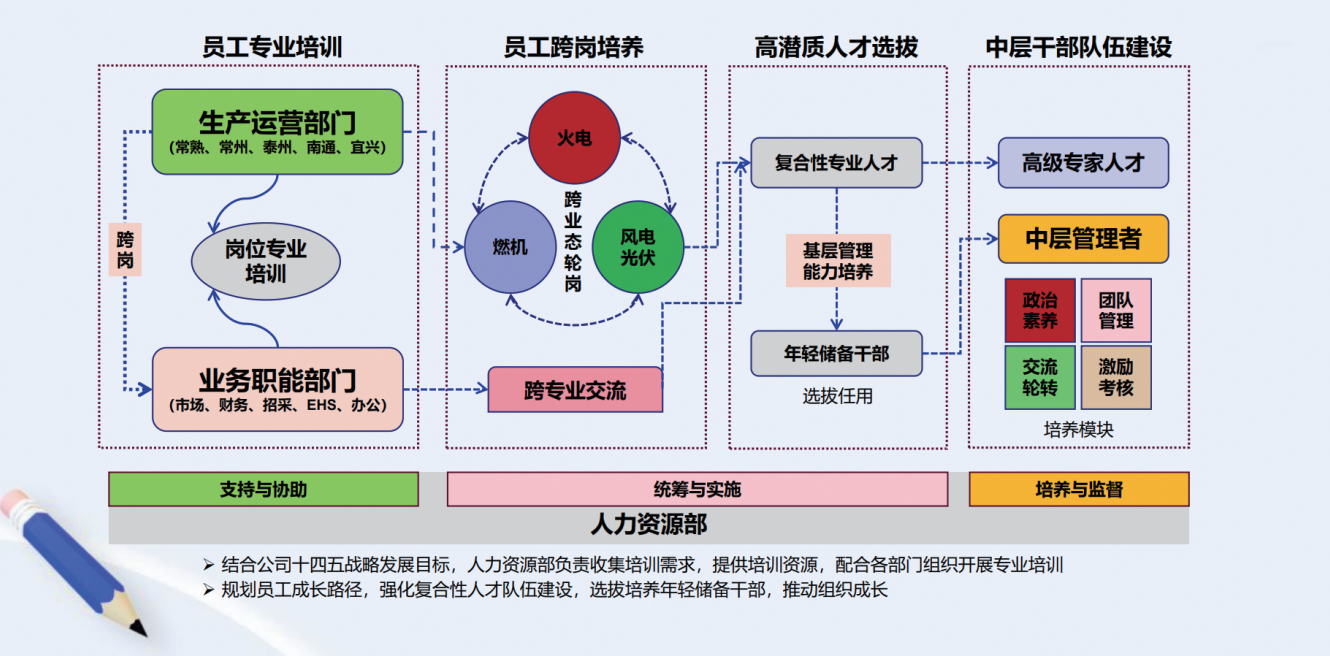 员工成长与职业发展路径