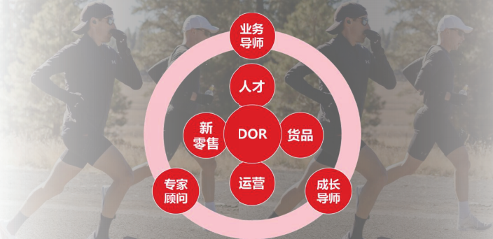 DOR项目构成