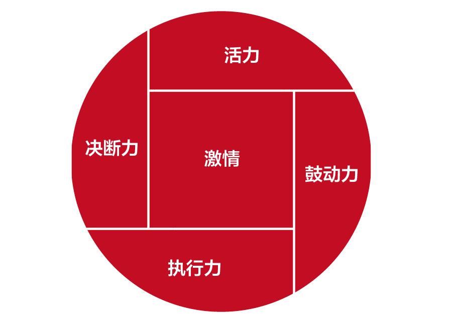 GE领导力模型 