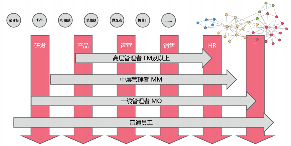  “点、线、面、网”培训发展体系