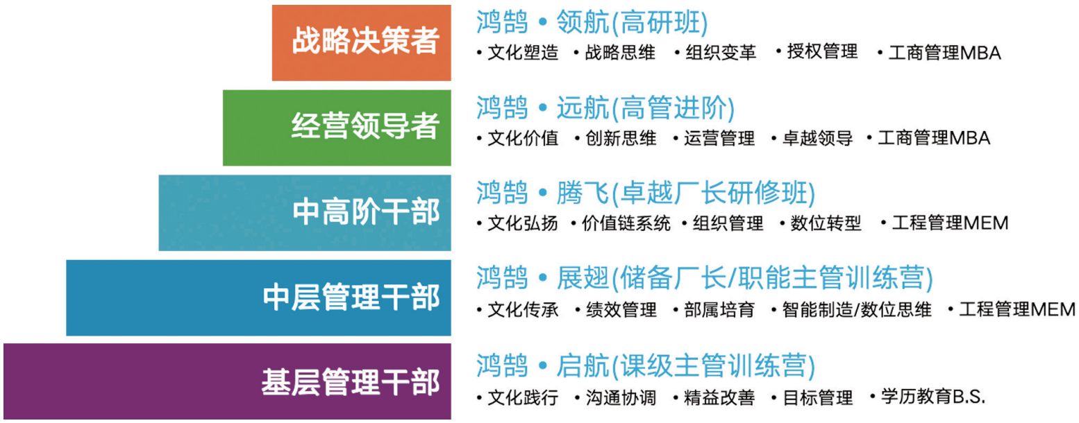 金字塔型“鸿鹄人才梯队”模型