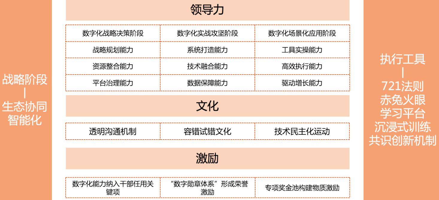 天马集团数字化领导力发展策略